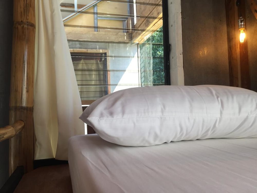 Фото The Flying Fish Hostel