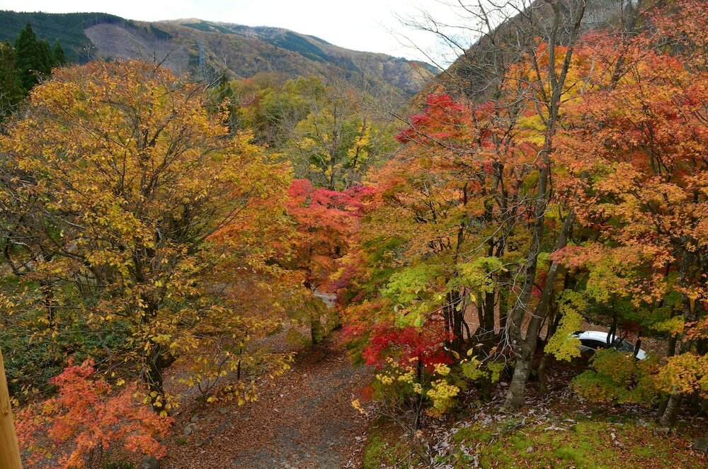 Фото Resort Pension Shikisai