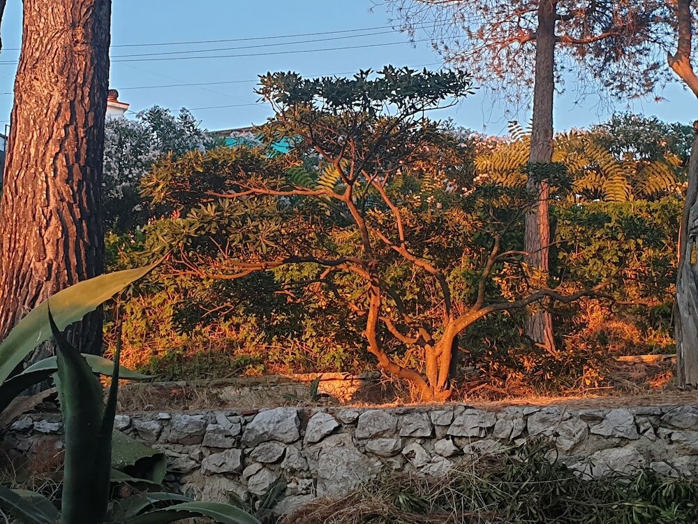 Фото Il Rifugio Capri