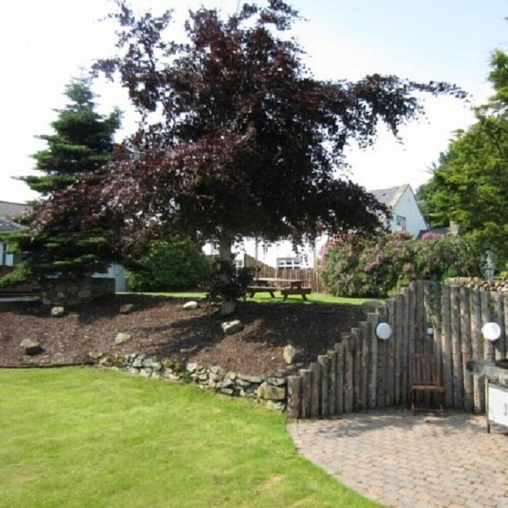 Фото Adventure Tours Ni