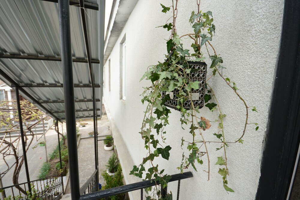 Фото 238717031120