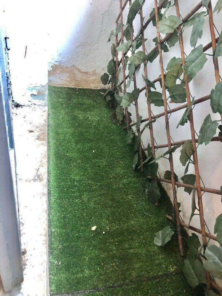 Фото Cozy Apartment near Panathenaic Stadium