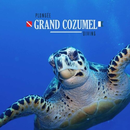 Гостиница Agave Azul - Grand Cozumel, Hotel and Diving в Косумели