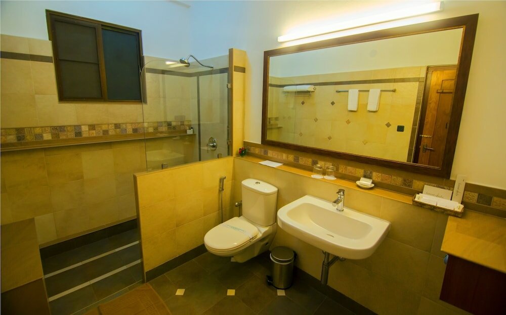 Фото Forest Glade