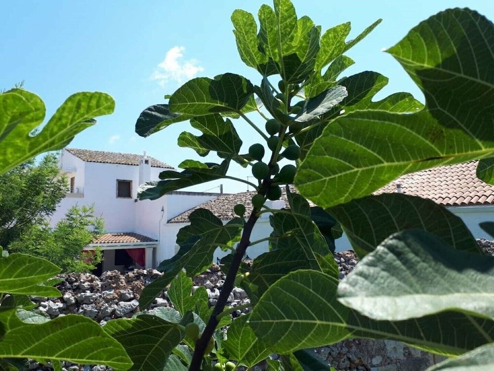 Фото Masseria Costarella