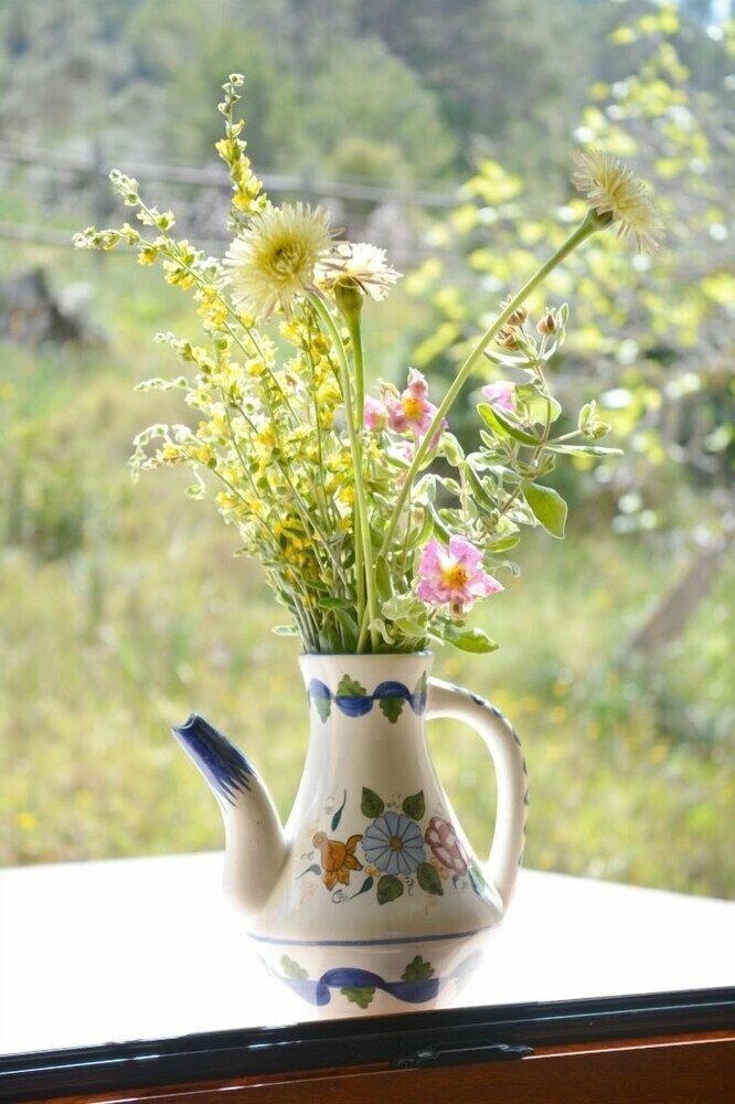 Фото Country cozy house with pool Mallorca