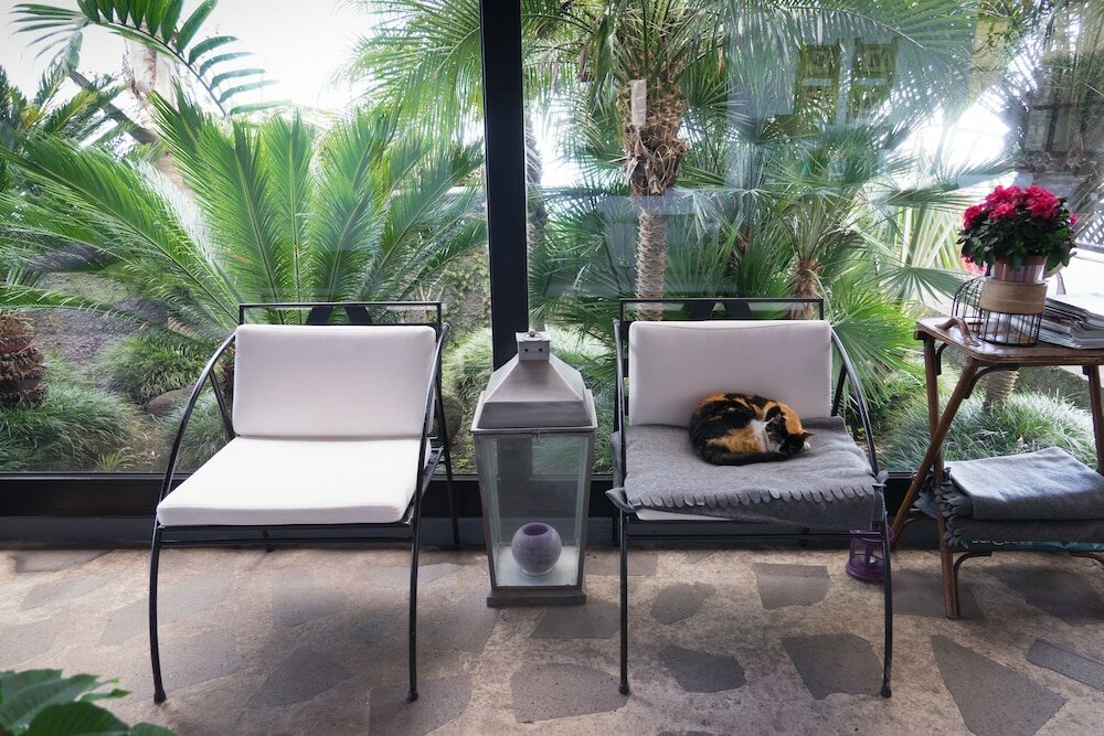 Фото Casa das Proteas