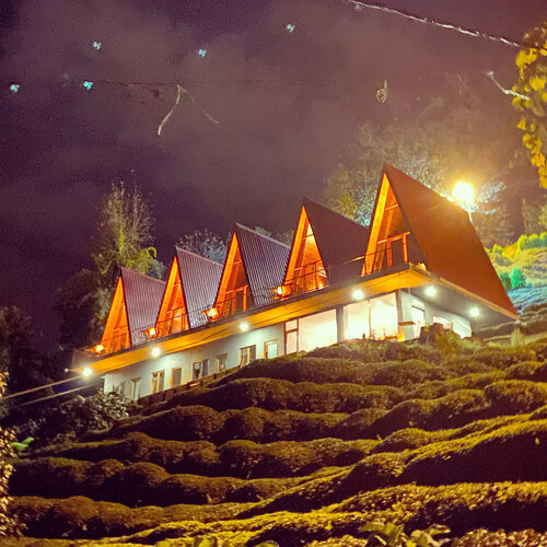Loya Butik Otel - Bungalow