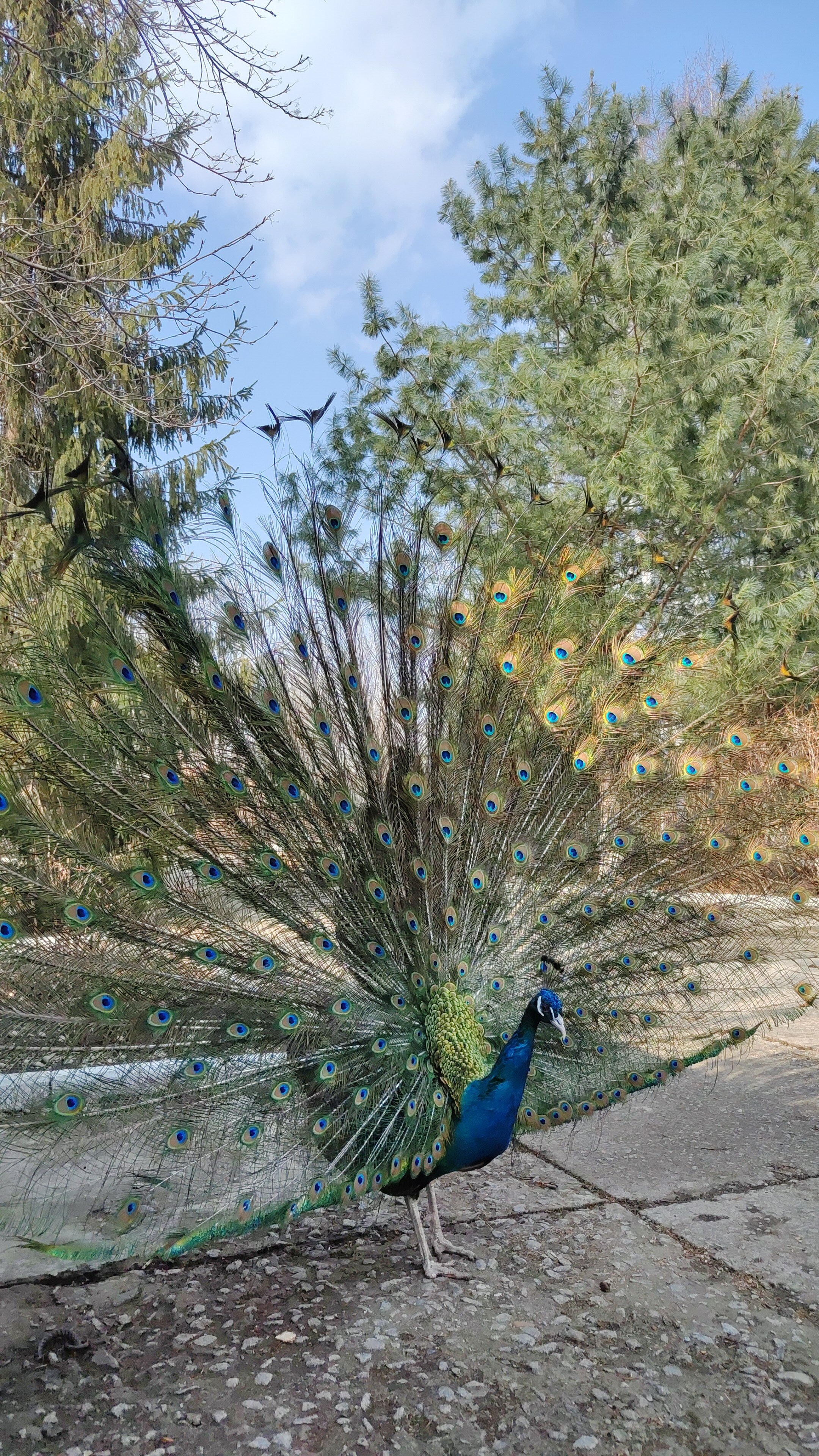 Фото Таежный берег