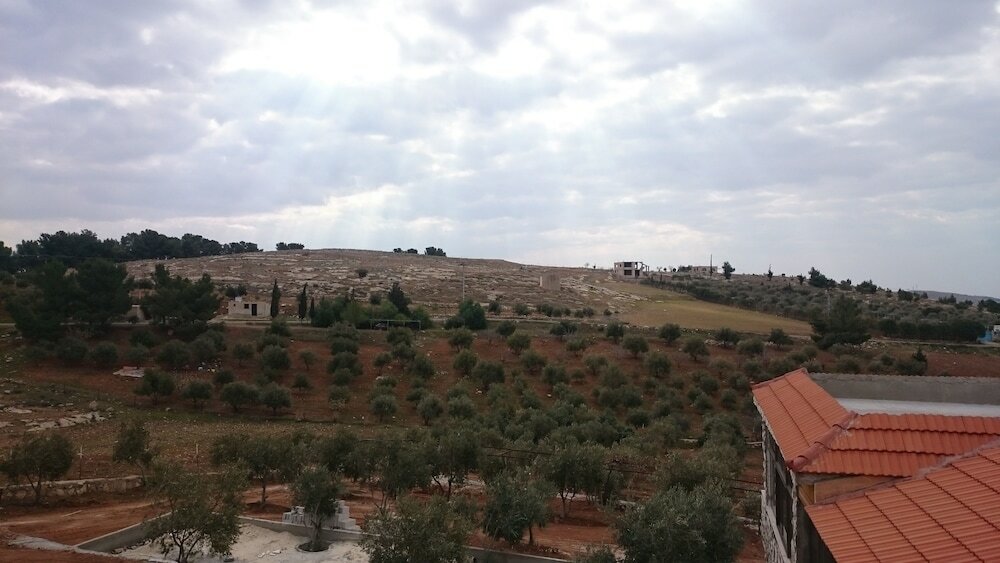 Фото Town of Nebo Hotel