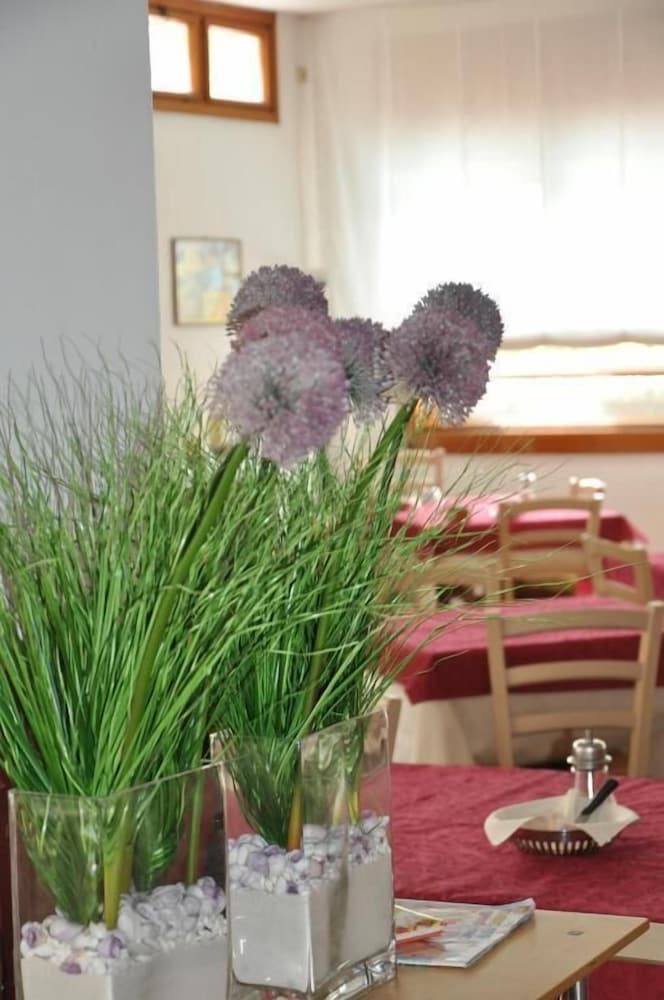 Фото Hotel Friuli