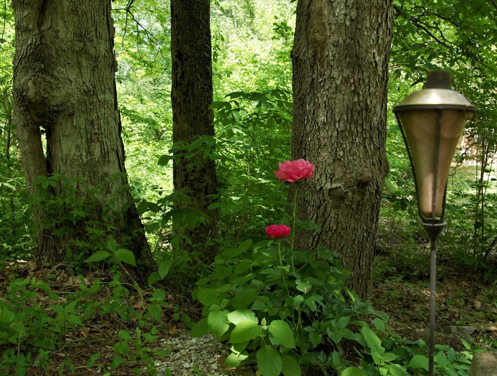 Фото Makanda Inn & Cottages