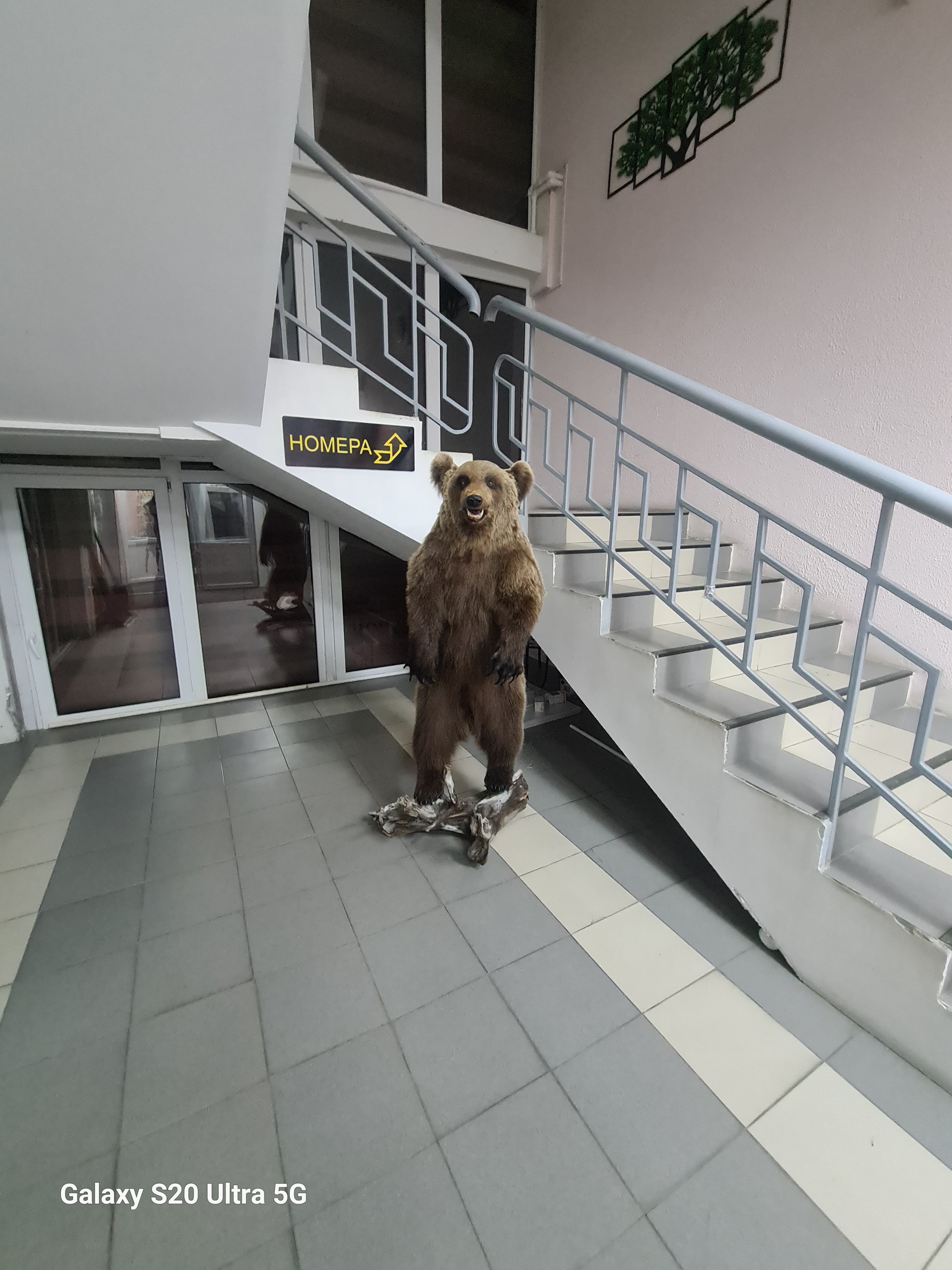 Фото Мотель Пушной