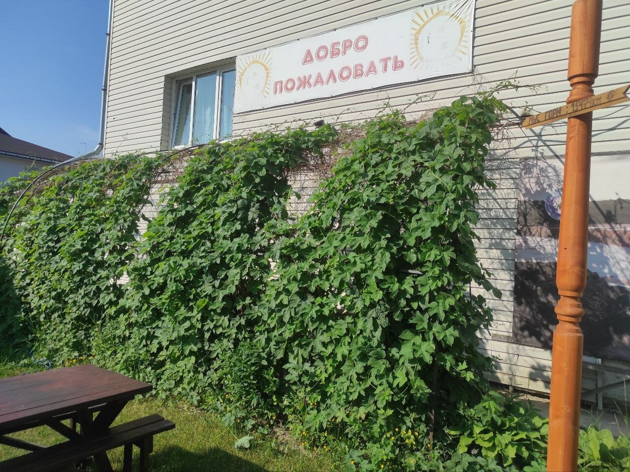 Фото Дом Туриста в Саблино