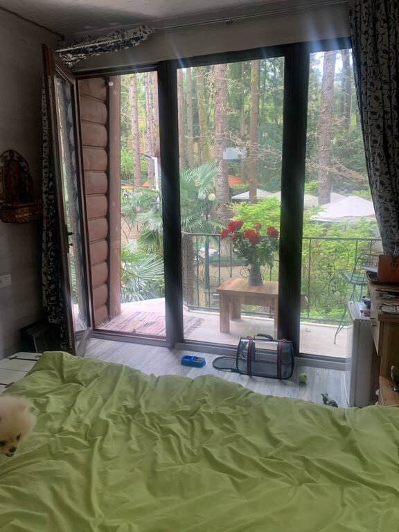 Фото Hotel Nine Brothers