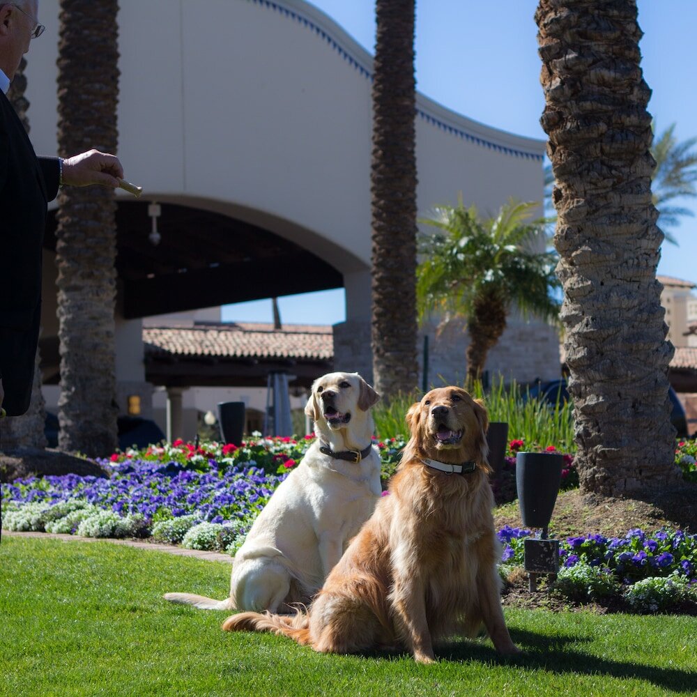 Фото Fairmont Scottsdale Princess