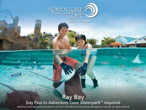 Фото Resorts World Sentosa - Hotel Ora