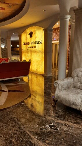 Гостиница Grand Wellness Hotel, Москва и Московская область, фото
