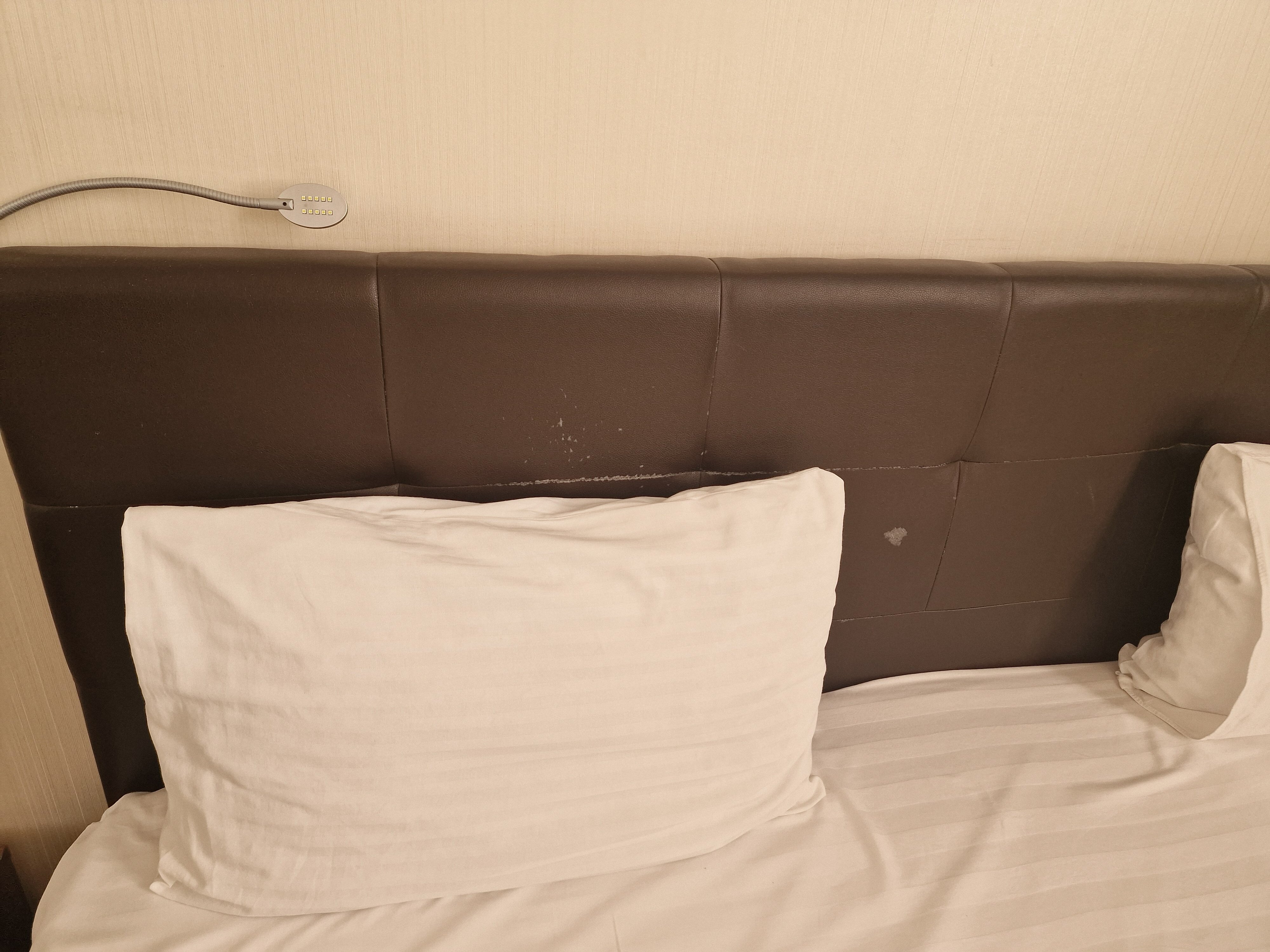 Фото Вишнёвый сад