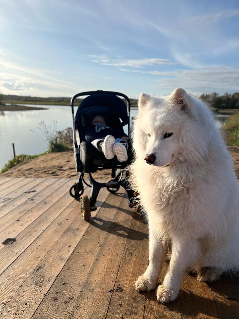 Фото Fraubu. camp