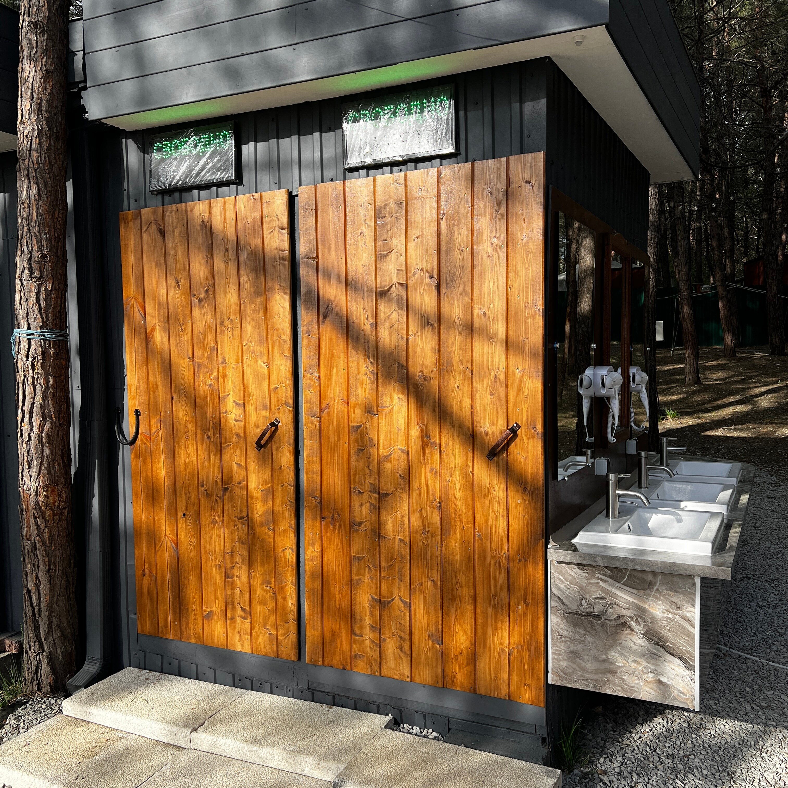 Фото Под соснами