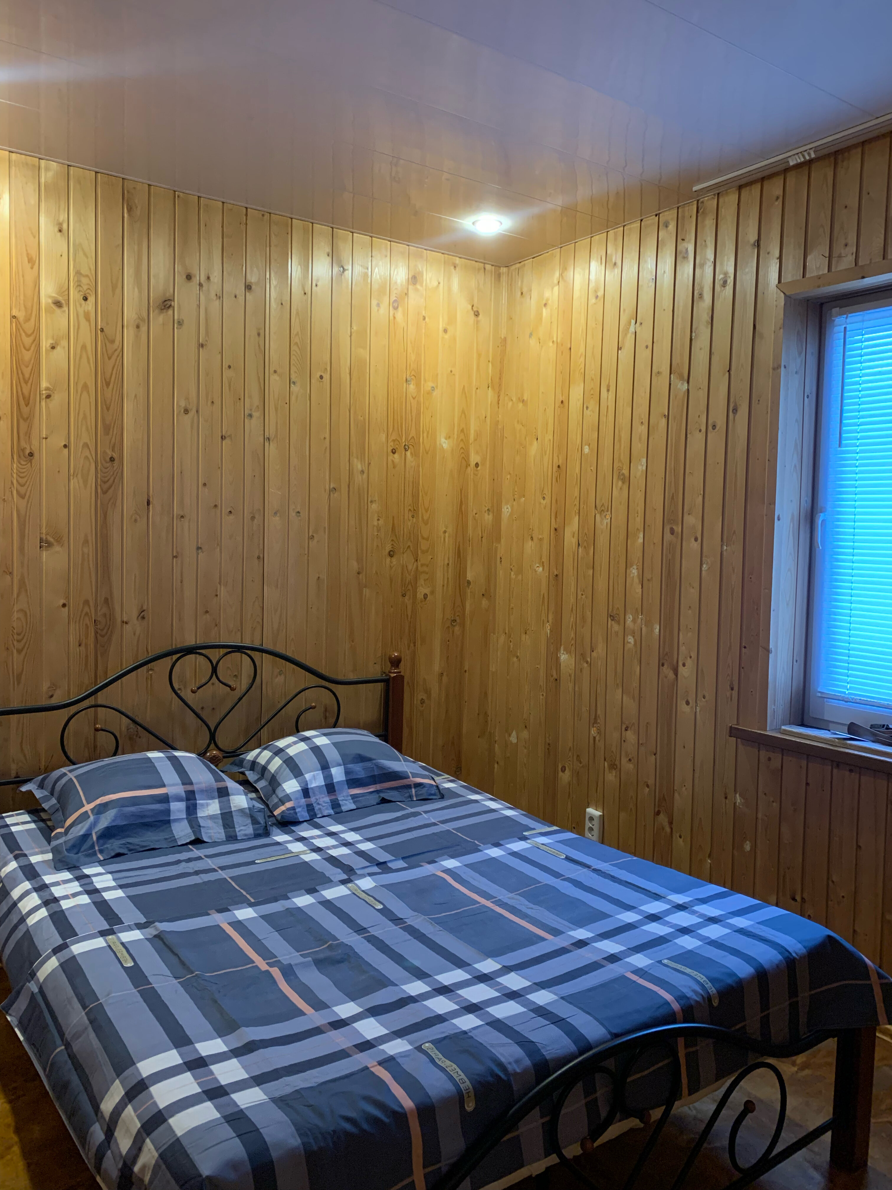 Фото Берёзка