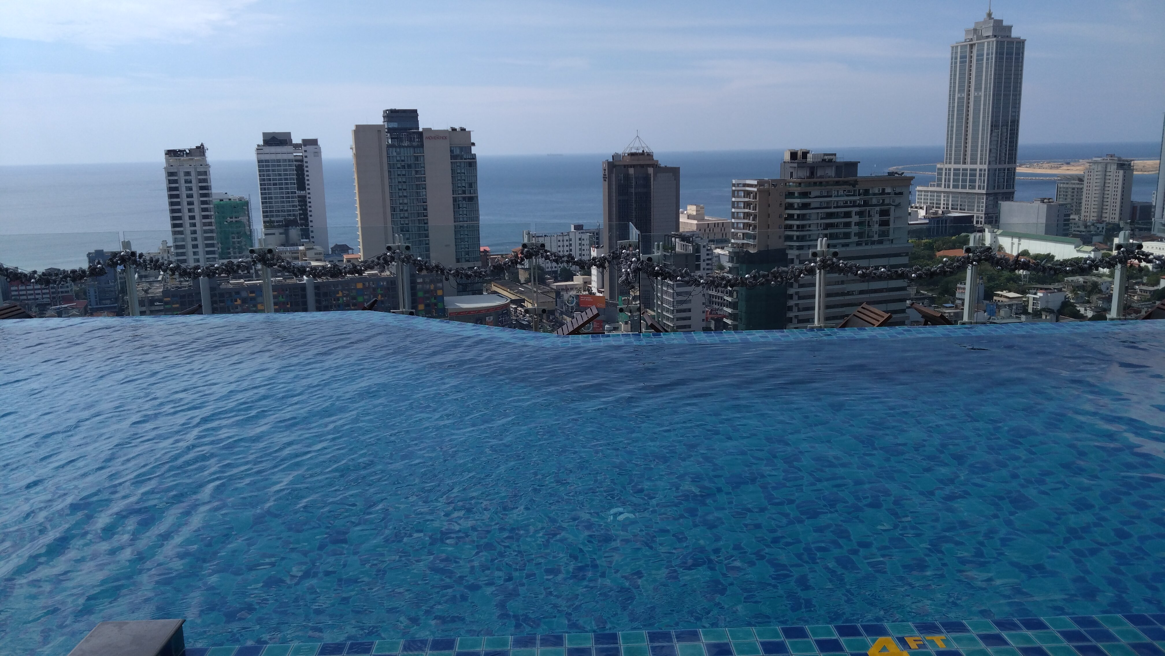 Фото Cinnamon Red Colombo