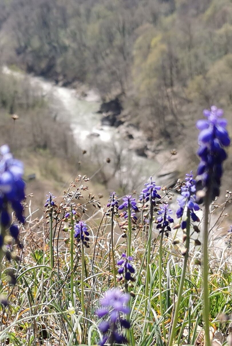 Фото Приезжай