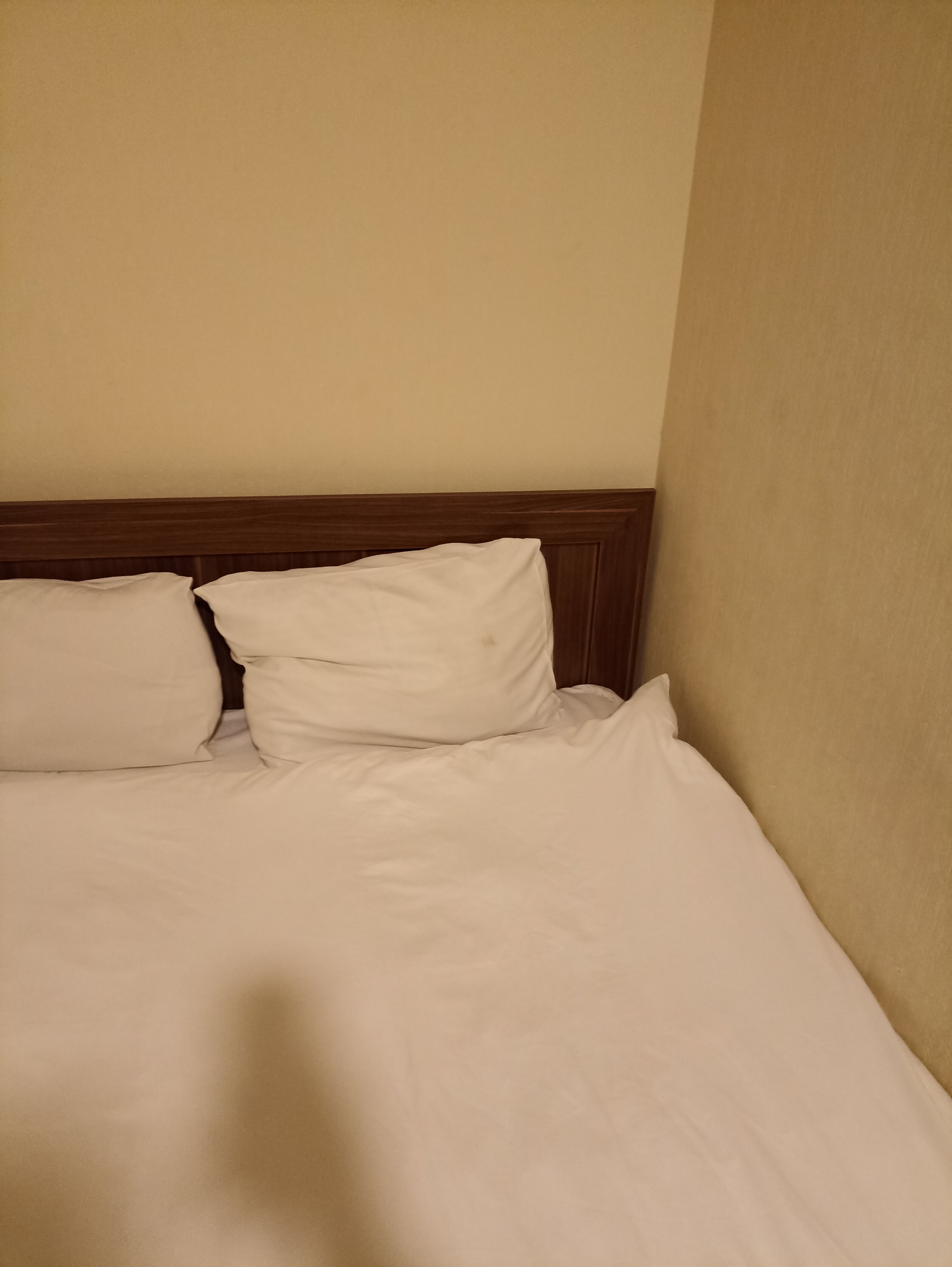 Фото Nizami Central Street Hotel