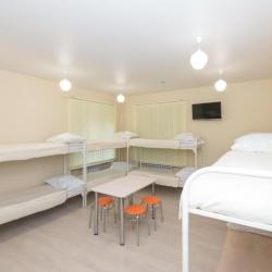 Фото Поживика