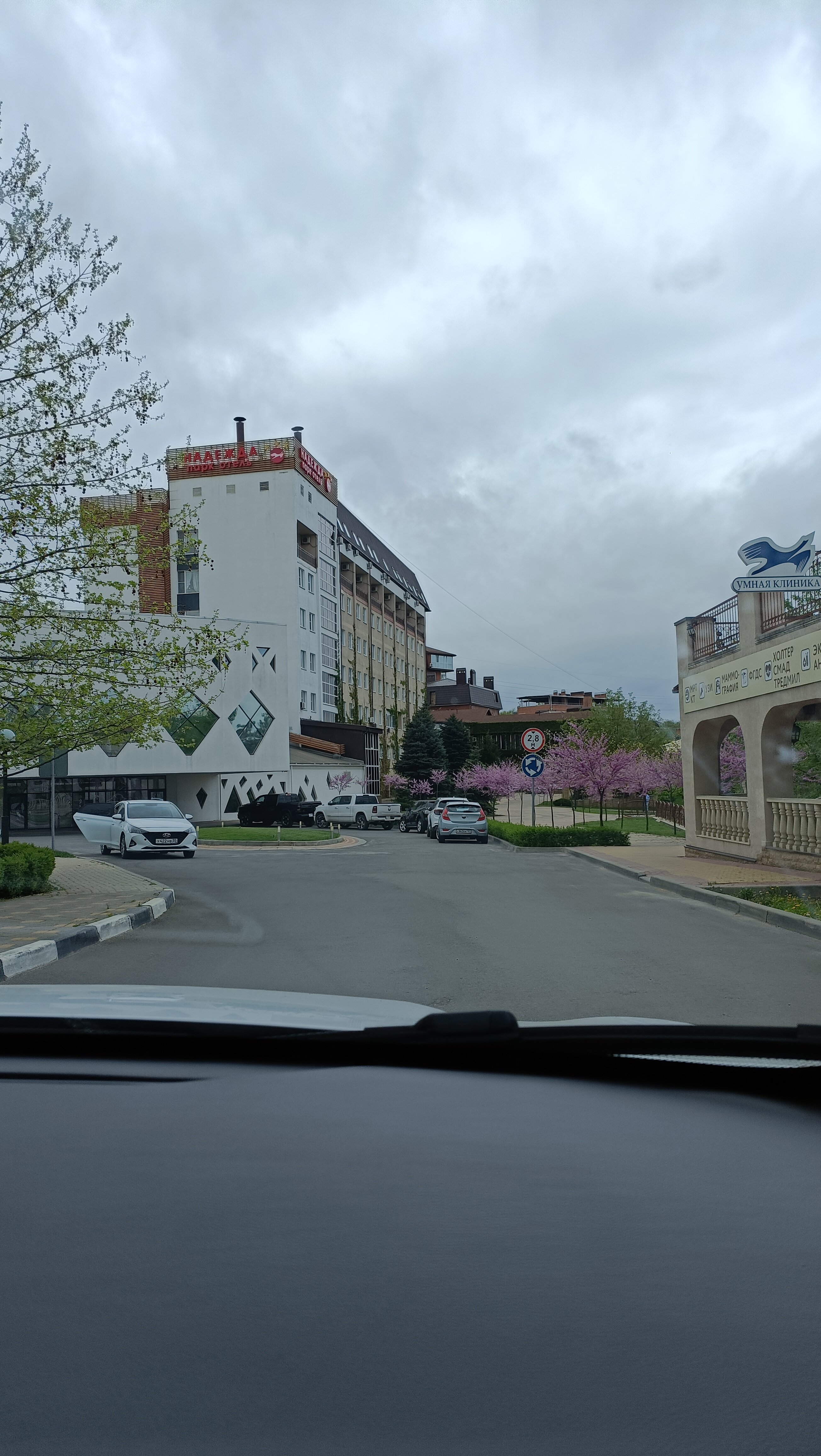 Фото Надежда