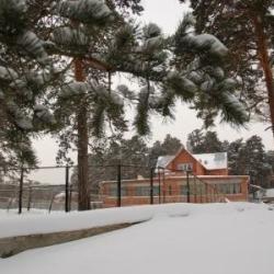 Фото Феликс