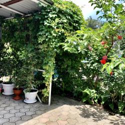 Фото Нинель