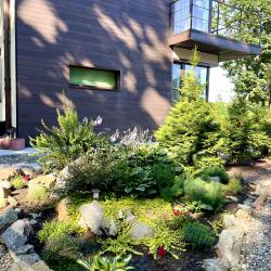 Фото Главный