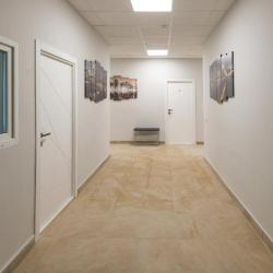 Фото Поживика