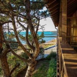 Фото Лагуна