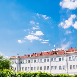 Фото Вежливый лось на Дмитровской