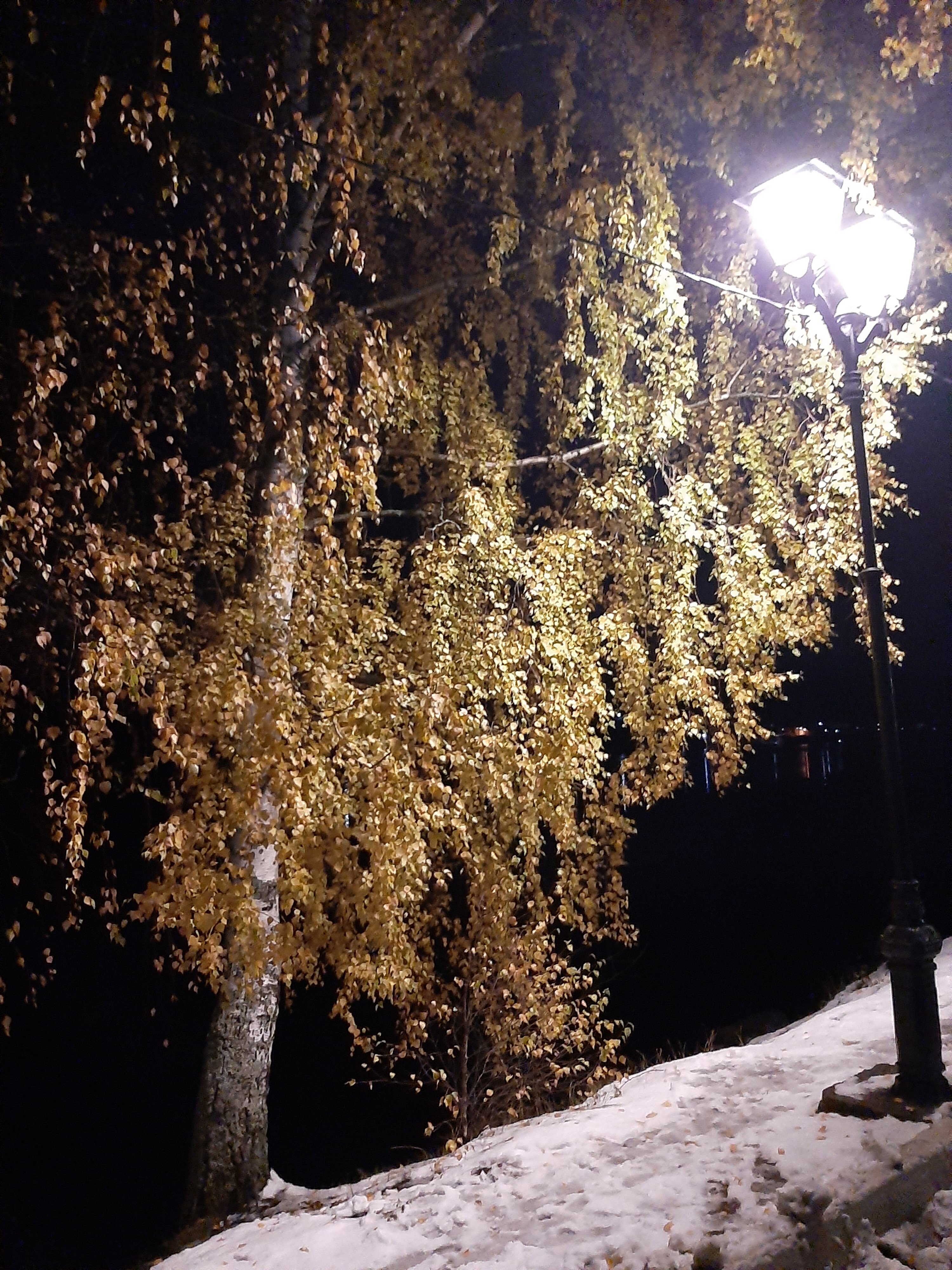 Фото Шаляпин Плес