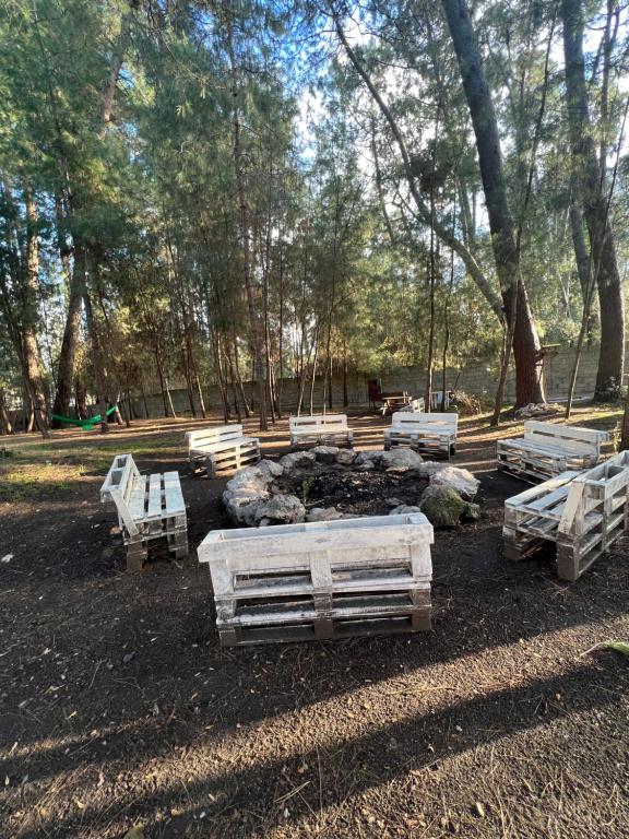 Фото Forest Club