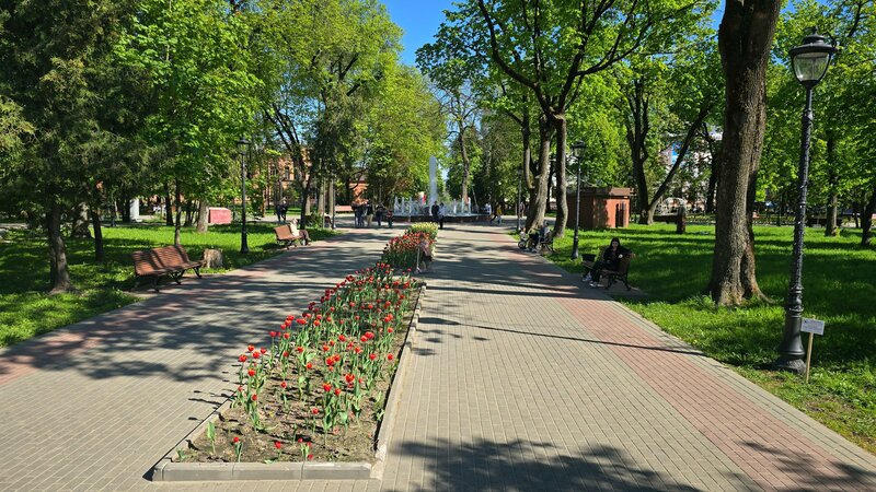 Центральная — фото 37