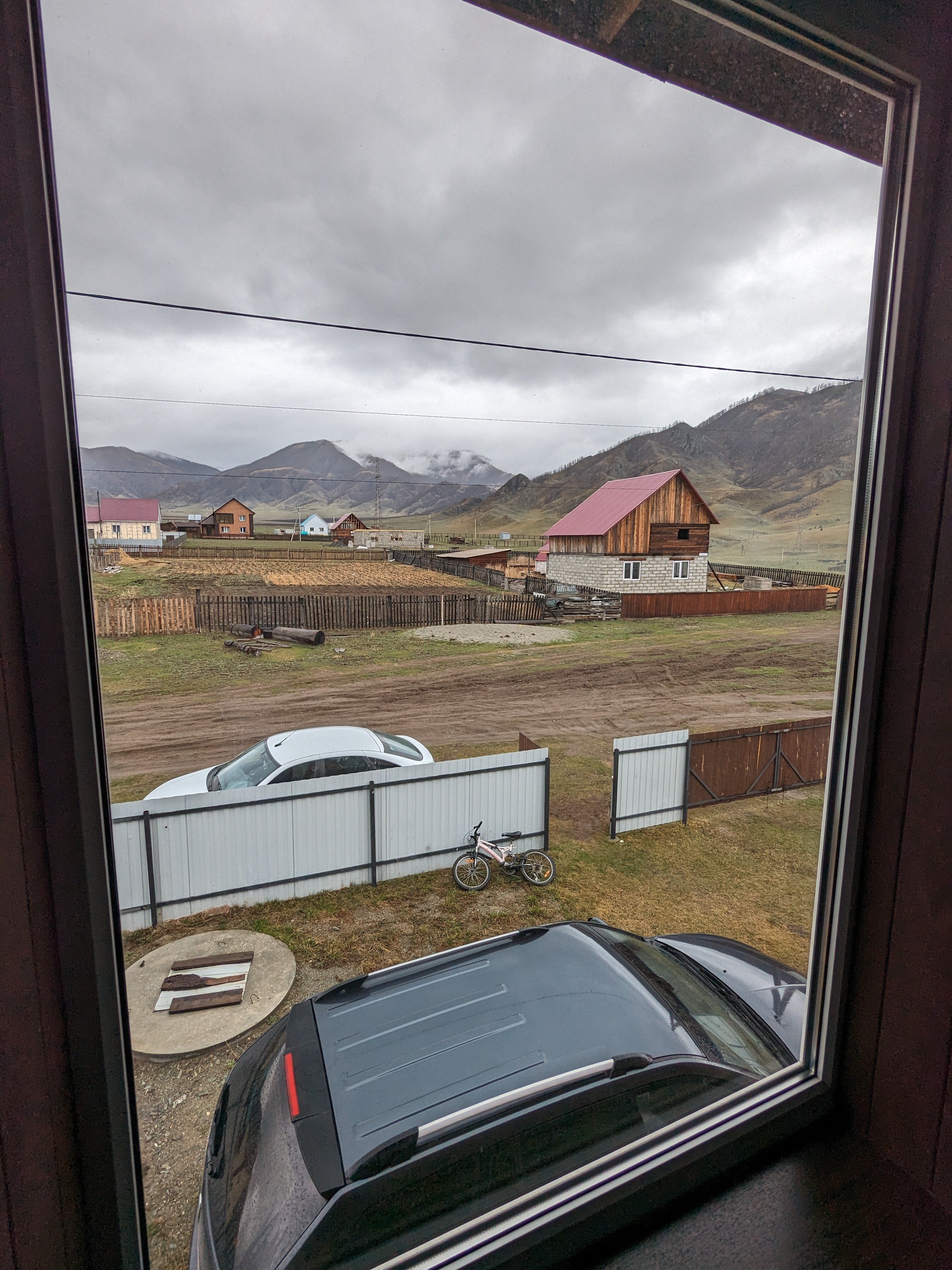 Фото Дикий Еж