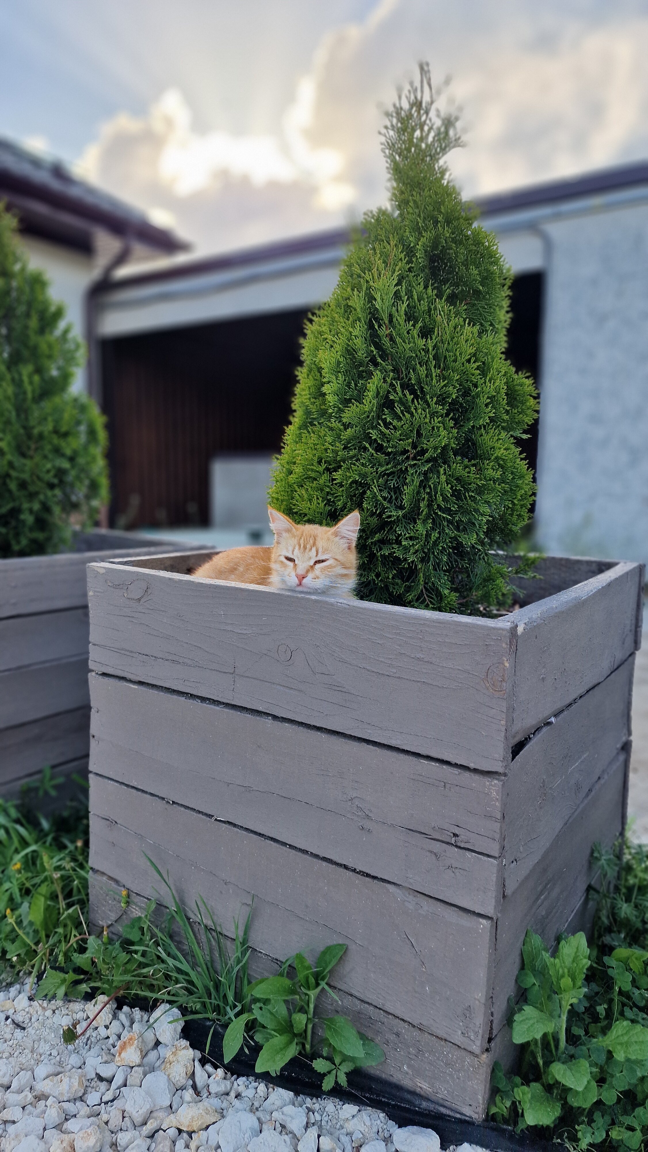 Фото АльтаРио