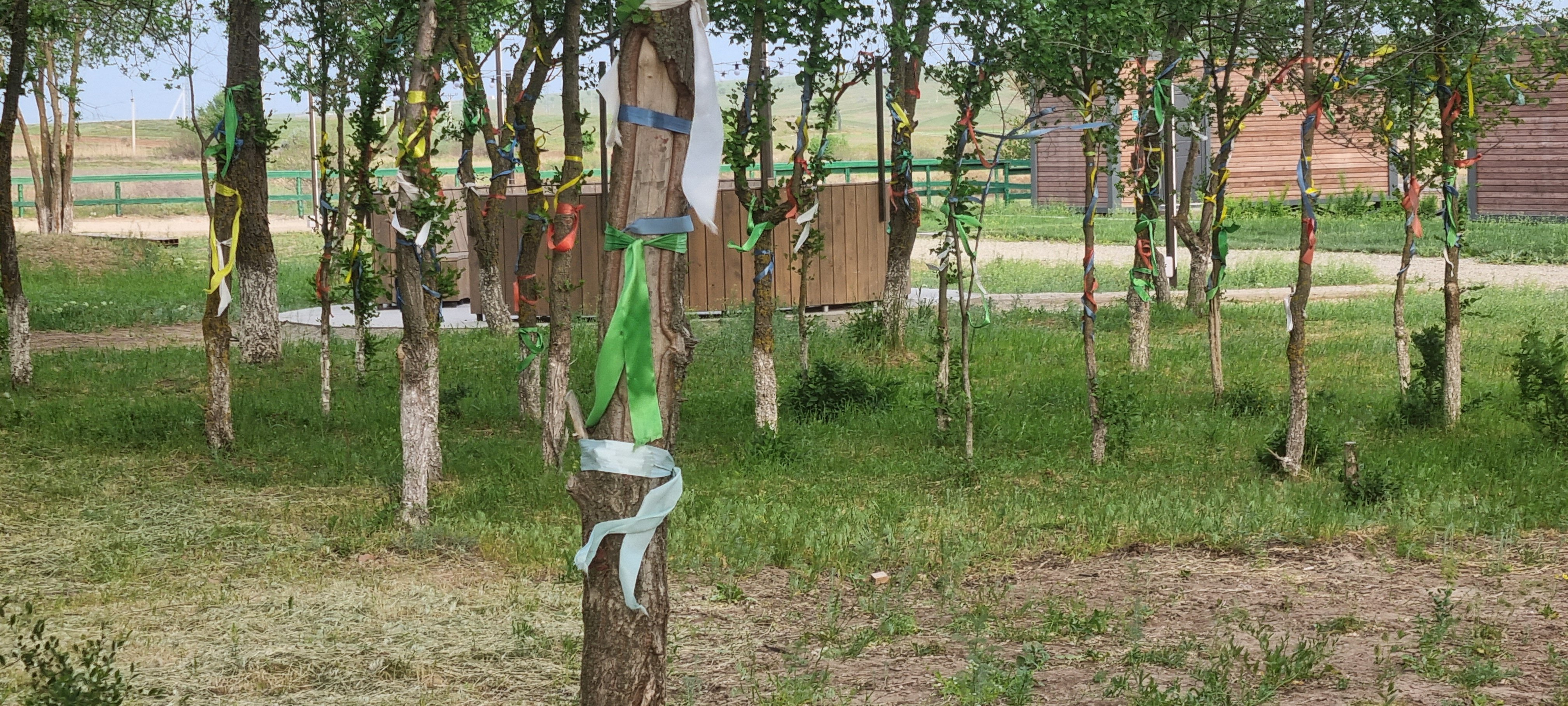 Фото ЭкоПарк