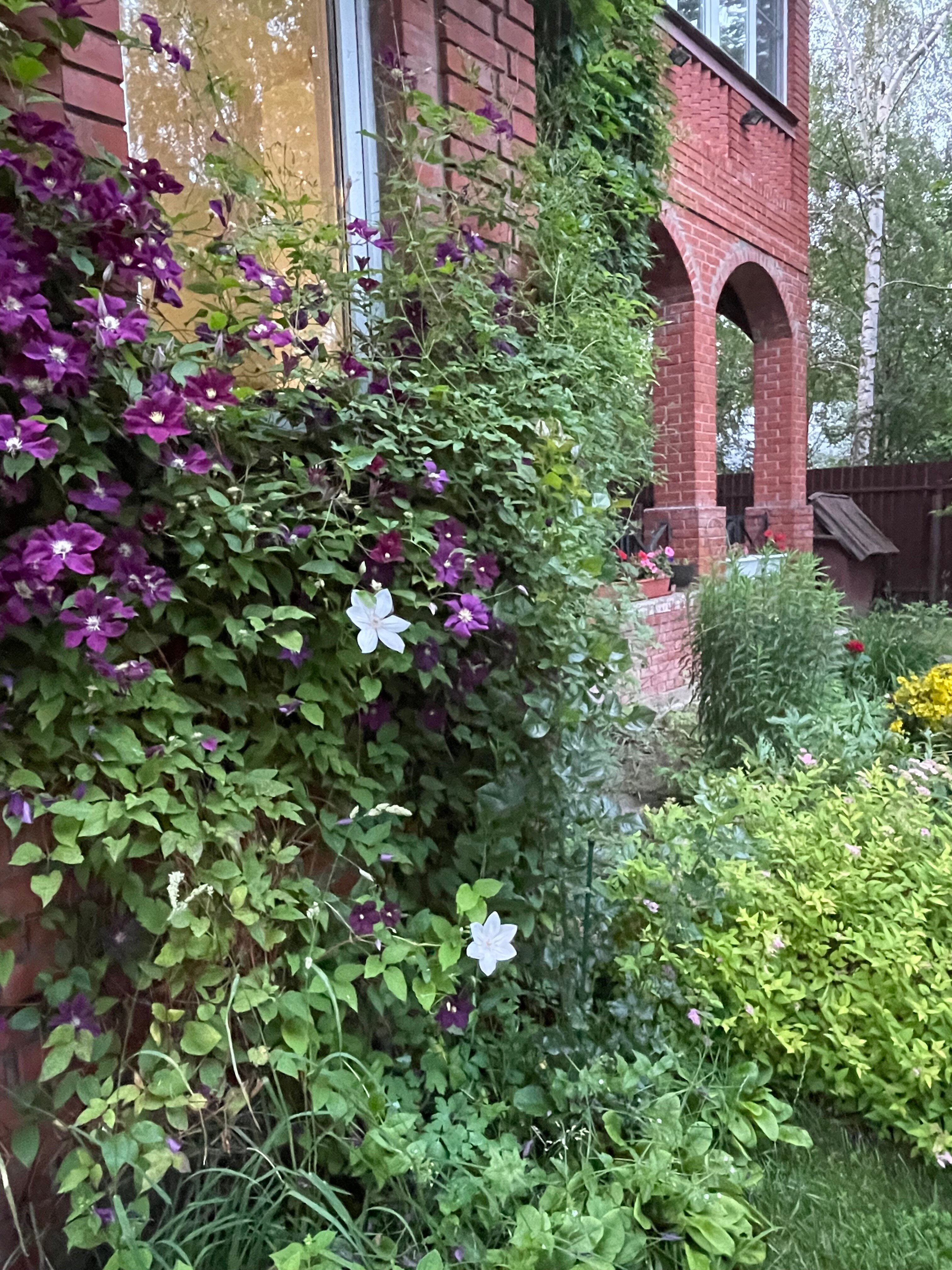 Фото Замок у художника