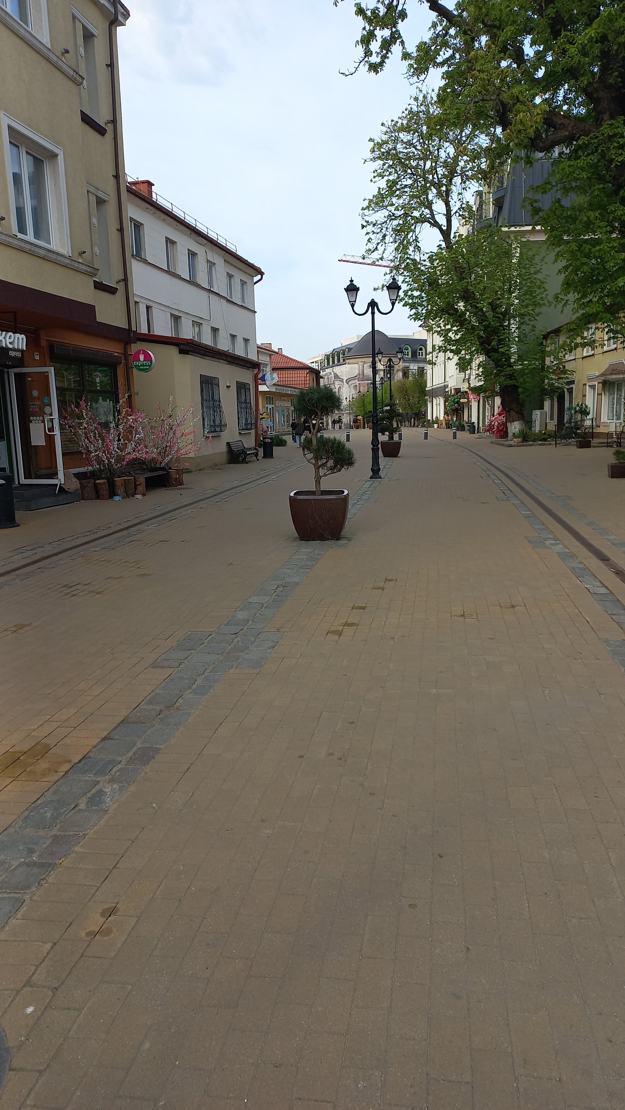 Фото Шкипер