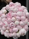 Maki (Komsomolskiy Avenue, 48), flowers and bouquets delivery