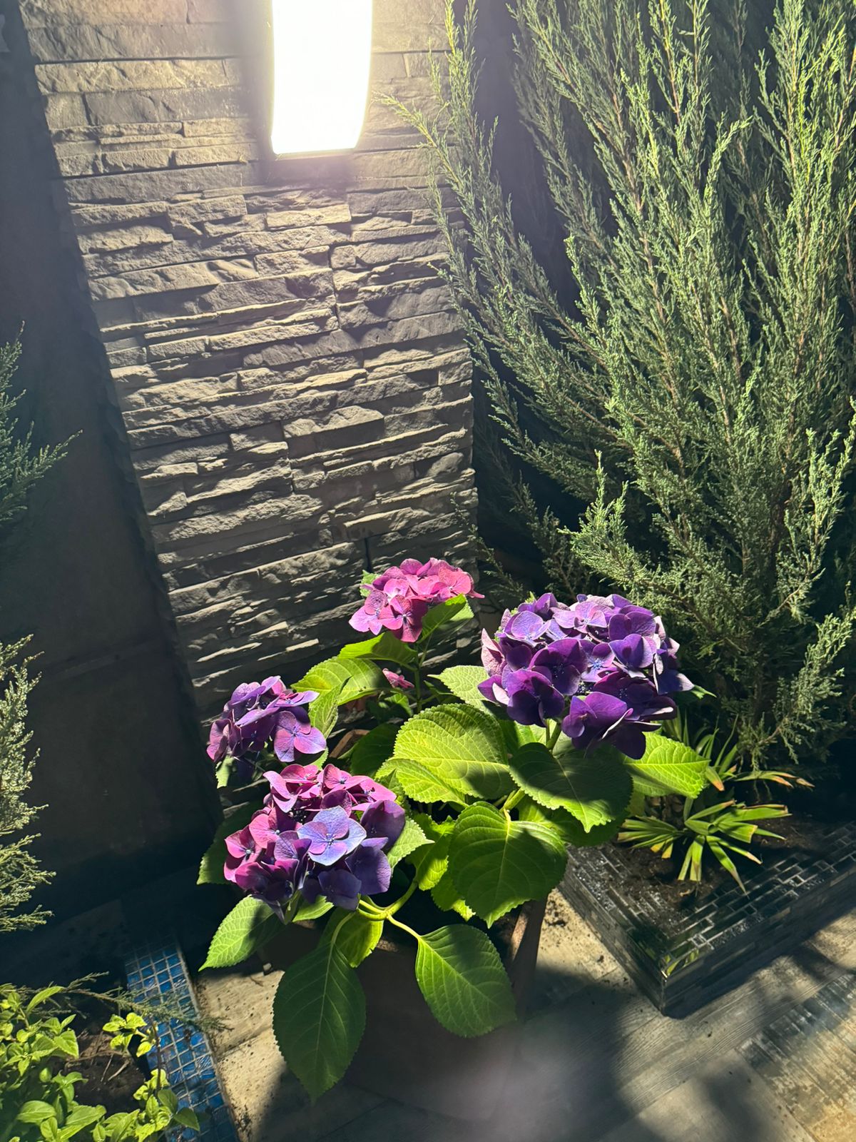 Фото Вилла Вита