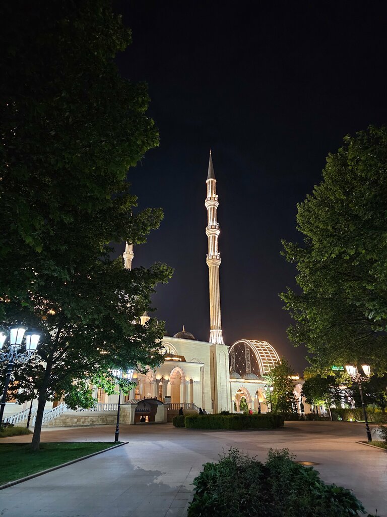 منتزه Mihail Lermontov Meydanı ، ، صورة