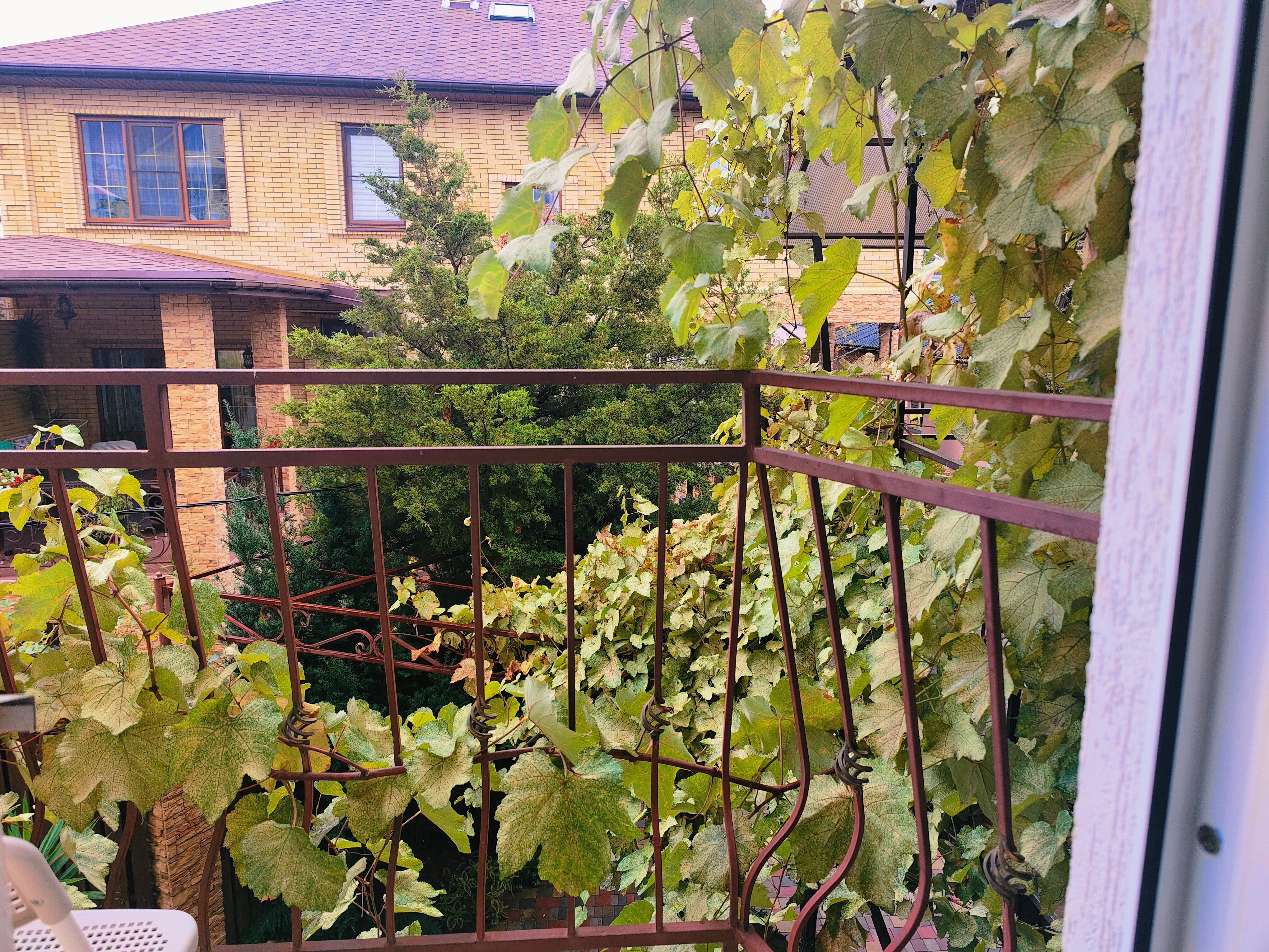 Фото Солнце Тургенева