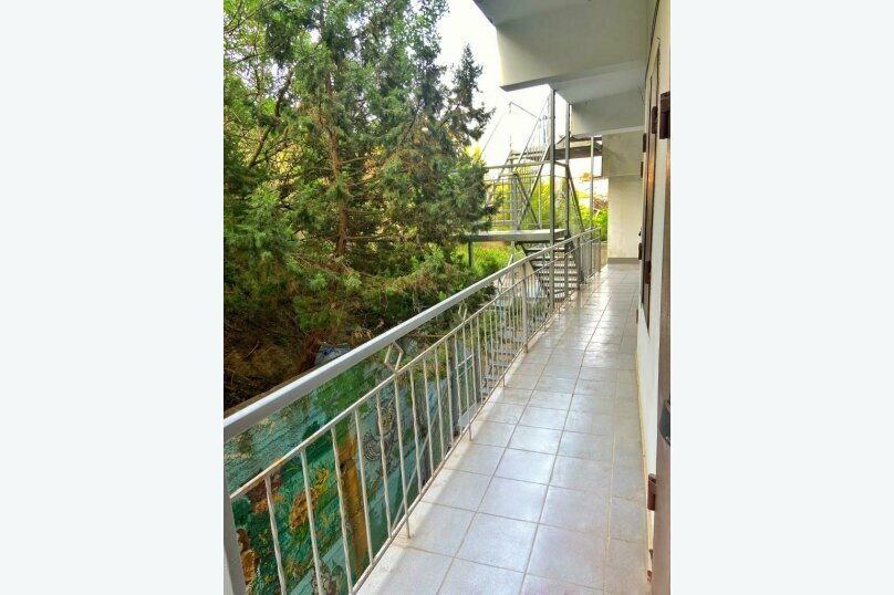 Фото Travel wake